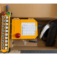 Control Remoto Inalámbrico de Baja Latencia y Respuesta Rápida AC 220v 38v 380v 24v F24-20S, Cargadores de Batería Industriales, Control Remoto para Grúas