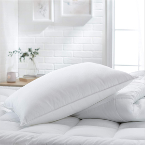 2020 personnalisé véritable doux <span class=keywords><strong>oie</strong></span>/<span class=keywords><strong>plume</strong></span> de canard 100% duvet <span class=keywords><strong>d</strong></span>'<span class=keywords><strong>oie</strong></span> blanc oreillers de lit meilleure vente Inserts personnalisés - Product Image 2