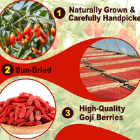Natuurlijke Premium Biologische Gedroogde Gojibessen Bulk Rode Wolfberry Zoete Vruchten Ningxia voor Thee Snack Bakken Koken Groothandel