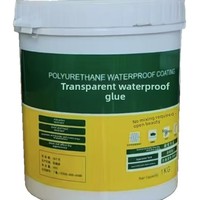 FEILING Liquide acrylique transparent, imperméable et anti-humidité pour l'étanchéité des murs extérieurs et des carreaux de toilettes contre les fuites