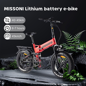 Vélo électrique à pneus larges 48V 750W 20 pouces 4.0 avec frein à disque hydraulique, tout-terrain, Ebike OEM, pour neige, plage, sable, adultes, EN15194 CE - Product Image 1
