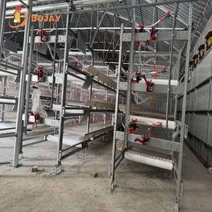 Gabbia Automatica Tipo H a Batteria per Pulcini di Un Giorno, Polli da Carne e Pulcini da Gallina Ovaiole - Product Image 2