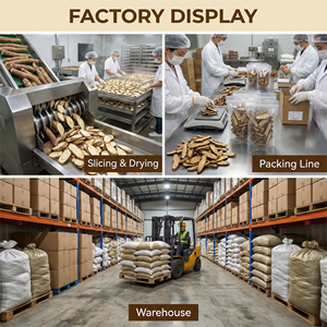 Raíz de Durazno de Cinco Dedos Confiable, Suministro a Granel, Exportación Directa de Fábrica, Estándar para Comercio a Gran Escala de Materiales de Medicina Tradicional China - Product Image 6