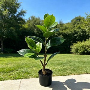 Bonsai Rubber <b>Tree</b> Indoor Landscape Decoration Simulation Plant Decoration Simulation Leaves - Product Image 3