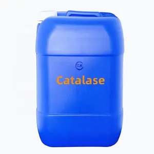 High Quality Catalase Cas 9001-05-2 Enzyme Activity Liquid Catalase Fungal Catalase