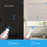 Inalámbrico 100% Poliéster Smart Home Automático Vison Blackout WiFi Control remoto inteligente Persiana enrollable para Windows