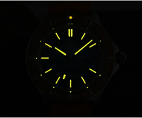 Prix usine personnalisé 20atm luxe dôme saphir plongée mécanique automatique 316 acier inoxydable vintage plongeur montre hommes à vendre