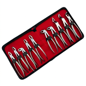 Juego de Piezas de Mano Dentales Profesionales de 10 Piezas, Manuales, Certificados por la CE, de Acero Inoxidable de Alta Calidad con Empaque y Logotipo Personalizados - Product Image 1