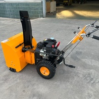 Mini-ramasse-neige manuel multifonctionnel pour usage domestique, fabriqué en Chine