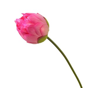 ดอกบัวประดิษฐ์ PVC คุณภาพสูง สไตล์โอเรียนทัล สำหรับตกแต่งบ้าน งานแต่งงาน และอุปกรณ์ประกอบฉาก - Product Image 5