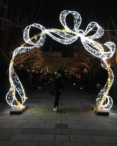Luces LED de arco con diseño navideño personalizadas, impermeables IP65, para decoración de interiores y exteriores en festivales. - Product Image 1
