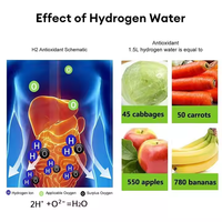 Générateur d'eau hydrogénée rechargeable par USB, ioniseur portable, bouteille de 420 ml, utilisation domestique, bureau