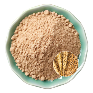 Malt <strong>Extract</strong> Malt <strong>Extract</strong> Powder Barley Malt <strong>Extract</strong> - Product Image 1