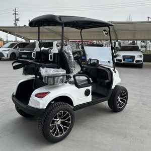 Carrito de Golf Eléctrico de 2 Plazas, Venta Caliente, para Campos de Golf y Clubes Campestres, Carga Rápida, Fabricante OEM, Vehículo Eléctrico - Product Image 5