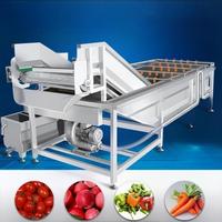 Industriële, volautomatische fruit- en groentewasmachine, droger en reiniger met aanpasbare motor, commerciële wasmachine van SUS304