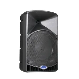 T PA Passive Speakers Big Power Outdoor Stereo Music Trolley Portable Speaker With 300W Bass/130W Treble