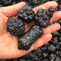 Météorite noire Carbonado Minerales spécimen prophétie pierre manganèse nodule pierre brute gemme cristal naturel minerai météorites de fer