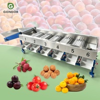 Industriële machine voor het sorteren van kersen, het sorteren van zure kastanjes, het sorteren van tomaten, grote aardappels, dadels en kunstmatige producten te koop.