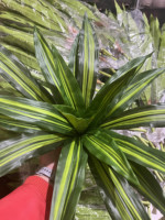 Grosir tanaman Agave buatan untuk dekorasi lanskap latar belakang dalam ruangan