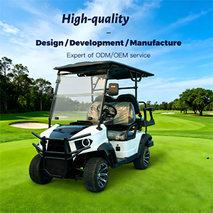 TongCai, Vehículo Eléctrico Chino de 2 a 10 Pasajeros, 4 Plazas, 48v/72v, Litio, Autonomía de 70-90 km, Buggy en Venta, Carro de Golf Eléctrico - Product Image 1