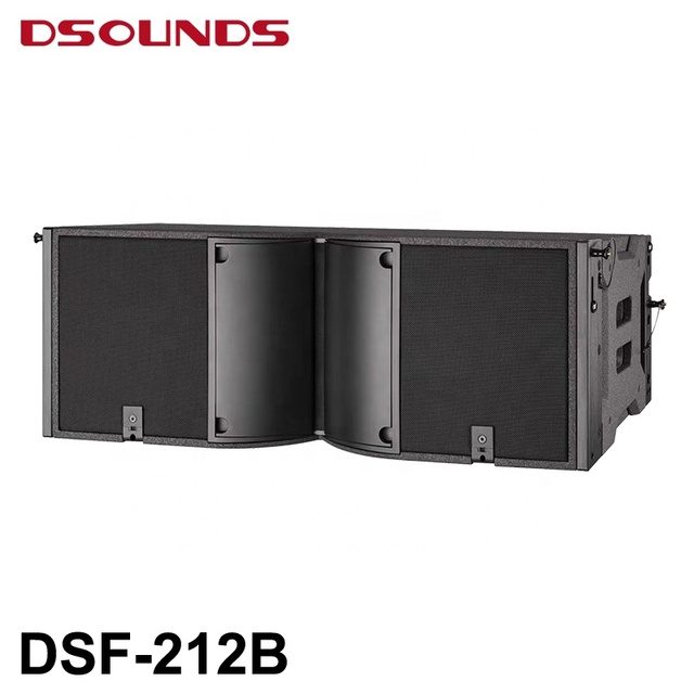 DSF-212B Dual 12 Inch Line Array LoudSpeakers with Full Frequency Built-in Crossover Professional Speaker for Large Events