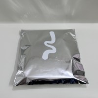 Sacs d'expédition personnalisés avec logo en feuille d'aluminium brillante pour vêtements, sous-vêtements, sweats à capuche, emballages de vêtements S M L