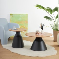 Ensemble de tables basses avec plateau en verre trempé et base en fer plaqué or pour salon, ensemble de tables basses rondes