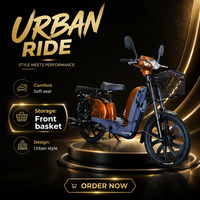 Vélo cargo électrique MiLG BLW avec moteur arrière sans balais 350W-800W, batterie au plomb-acide 60V, cadre en acier, 3 vitesses, assistance au pédalage