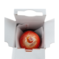 0.6kg automatique ABC poudre sèche extincteur boule produit de lutte contre l'incendie simple et efficace