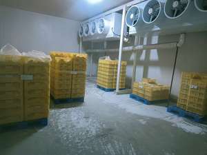 Промышленные холодильные и морозильные камеры для мясопереработки и хранения продуктов - Product Image 5