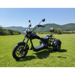 Scooter électrique Citycoco à 3 roues, pneus larges, moteur puissant 2000W, étanche, moto électrique à trois roues pour le golf, directement de l'usine - Product Image 1