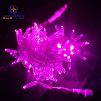 Guirlande lumineuse extérieure étanche ip67/IP65 Noël Décoration intérieure IP44 LED guirlande lumineuse