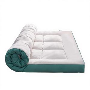 Colchón Transfronterizo Tridimensional de Plumas, Terciopelo, Poliéster y Fibra de Soja, Acolchado Suave Cepillado para Hogar y Dormitorio Estudiantil - Product Image 1