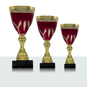 Coppa Individuale Anrie 39,0 cm - Product Image 1