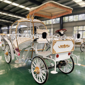 Cortège de luxe à franges, chariot de princesse en forme de citrouille, intérieur personnalisé pour lieu de mariage, séance photo de mariée, événement - Product Image 2