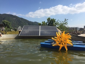 Aeratore solare <span class=keywords><strong>Padel</strong></span> ruote stagno aeratore pesci gamberetti allevamento per aumentare l'ossigeno - Product Image 2