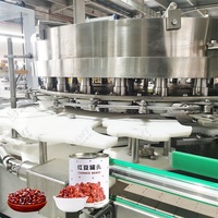 Lwt Auto Groente Ingeblikte Bonen Productielijn China 'S Beroemde Fabrikant Fruit Snoep Machine Mixer Deegmixer Sleutelmachines