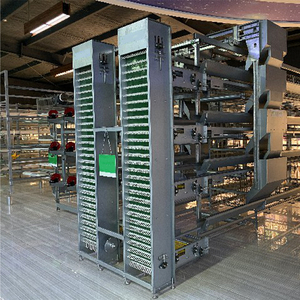 Sistema di Gabbie per Polli in Acciaio Zincato a Caldo Tipo H con Rimozione Automatica del Letame, Capacità 128 Uccelli, Durata 15-20 Anni, Nuovo per Allevamento Avicolo - Product Image 3