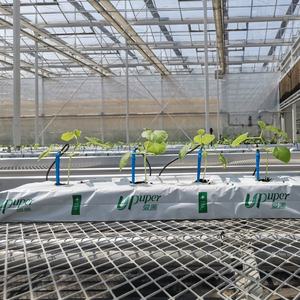 UPuper CS75 Lastre di Lana di Roccia per Coltivazione Indoor di <span class=keywords><strong>Pepino</strong></span>/Peperone/Pomodoro, Substrato Agricolo per Sistema Idroponico - Product Image 2