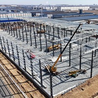Atelier en acier préfabriqué pour la fabrication industrielle, structure métallique polyvalente, conception résistante au vent fort, garantie 1 an