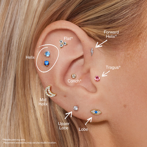 Thời trang bán buôn F136 Titan đầy màu sắc Bông tai sụn tragus Xoắn Thùy mũi labret xuyên - Product Image 2