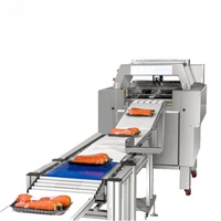 Automatische verpakkingsmachine voor groenten en fruit met clingfilm, tray-type machine voor vers en diepvriesvoedsel met clingfilmzakken