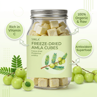 Cubes de Groseille Indienne Lyophilisées/Séchées par Pulvérisation (Phyllanthus Emblica) 1kg Échantillon Brut Riche en Vitamine C Superaliment Naturel