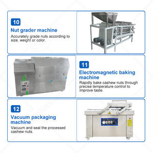 Chaîne de production complète et automatique de machines de transformation des noix ORME Chine – Usine de traitement des noix de cajou brutes - Product Image 6