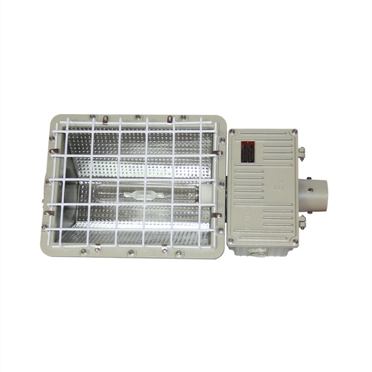 ATEX 250W 400W 1000W good price for explosion proof light IP65 Metal Halide Lamp flood light fixture