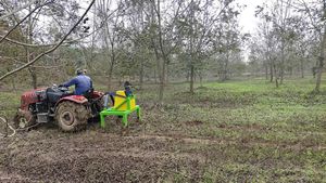 Cueilleur vibrant professionnel pour les arbres <span class=keywords><strong>de</strong></span> <span class=keywords><strong>noix</strong></span> <span class=keywords><strong>de</strong></span> pécan, d'amandes, <span class=keywords><strong>de</strong></span> <span class=keywords><strong>noix</strong></span> et <span class=keywords><strong>de</strong></span> châtaignes - Product Image 6