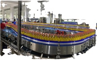 WZD Petite entreprise faisant la ligne de production remplissante liquide de jus de pêche de mangue de travail