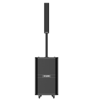 Enceinte Line Array W-King K30 Pro 480W, enceinte professionnelle sans fil en bois, équipement audio pour guitare, DJ, fête