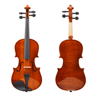 Professional Solid Wooden 4/4 Violin with Free Violin Accessories