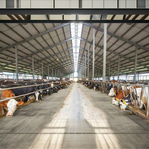 Struttura in Acciaio Leggero Q345/Q235 2022 <span class=keywords><strong>per</strong></span> Piccolo Stalla Prefabbricata <span class=keywords><strong>per</strong></span> <span class=keywords><strong>Bovini</strong></span>, Zincata a Caldo, Marca ShenFeng, Saldatura Inclusa - Product Image 4